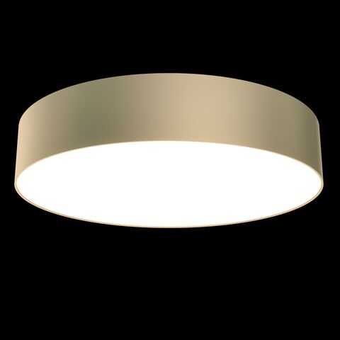 Потолочный светильник Technical Zon C032CL-L43MG4K