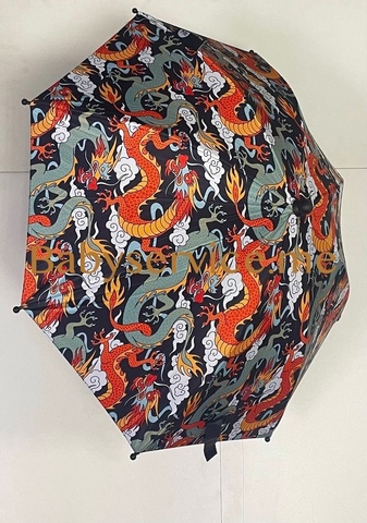 Зонт Happy Baby драконы