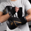Перчатки Hayabusa E1 Black/Gold