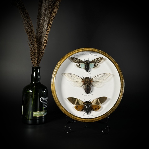 Композиция в рамке на подставке