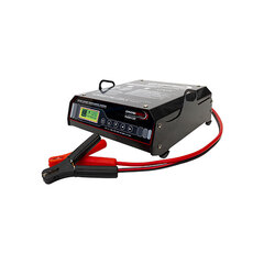 F150 Зарядное устройство 12В/150А, LEMANIA ENERGY (Швейцария)