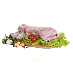 Кролик домашний