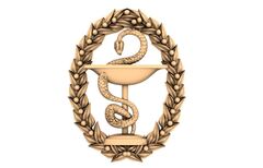 Силиконовый молд № 450 Эмблема медицины