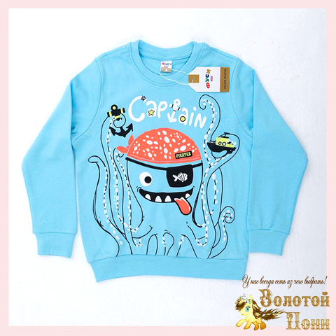 Свитшот хлопок м (1-4) 251031-FU107