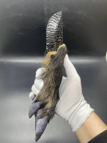 Обсидиановый нож с рукоятью копыта вепря 27 см