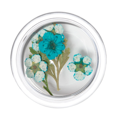 Irisk Сухоцветы в баночке (109)