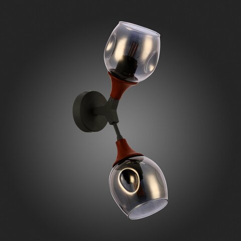 Светильник настенный Evoluce Ciotolla SLE113401-02