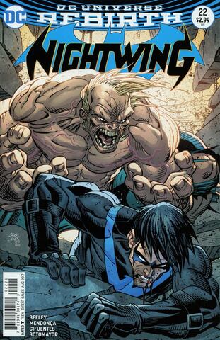 Nightwing Vol 4 #22 (Cover B)