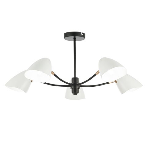 Светильник потолочный Evoluce Satta SLE103602-05