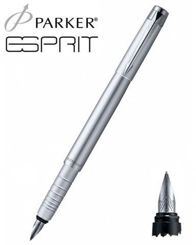 Ручка перьевая Parker Esprit F136, Matt Carbon CT (S0774470)