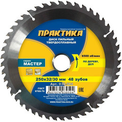 Диск пильный твёрдосплавный по дереву, ДСП ПРАКТИКА 250 х 32\30 мм, 48 зубов (030-504)