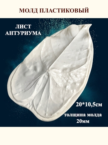 Молд 