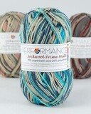 Пряжа Performance Sockwool Prime Multi 04