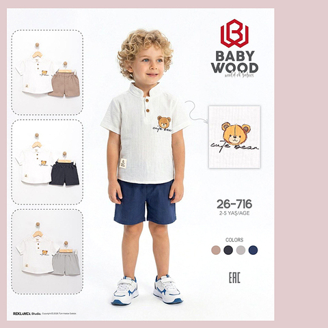 Костюм хлопок м (2-5) 260416-N658