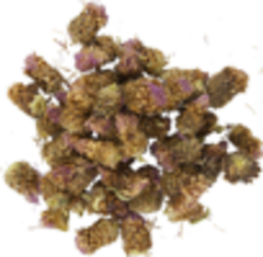 Василек луговой (цветки, 50гр.) (Старослав)