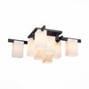 Люстра потолочная ST Luce Caset SL541.402.08