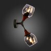 Светильник настенный Evoluce Ciotolla SLE113401-02