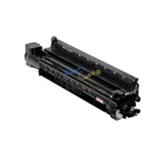 Блок проявки в сборе Ricoh D0092301 | D0093011