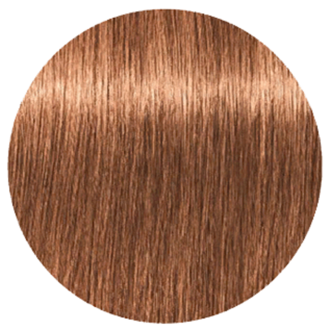 Schwarzkopf Igora Royal New 7-65 (Средний русый шоколадный золотистый) - Краска для волос