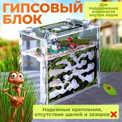 муравьиная ферма