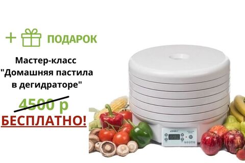 Дегидратор (сушилка) Ezidri Ultra FD1000 Digital