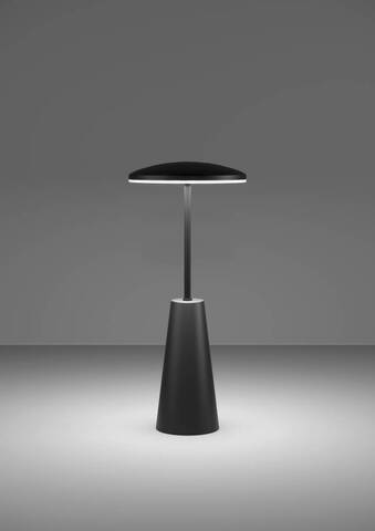 Аккумуляторная настольная лампа Eglo PICCOLA 900925