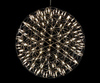 Люстра Raimond Sphere Chrome D30