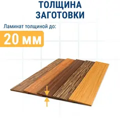 Пилки для лобзика по ламинату ПРАКТИКА тип T101AO 76 х 50 мм, криволинейный рез, HCS (2шт. (034-427)