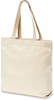 Картинка сумка для пляжа Dakine 365 Canvas Tote 21L Lizzy - 2