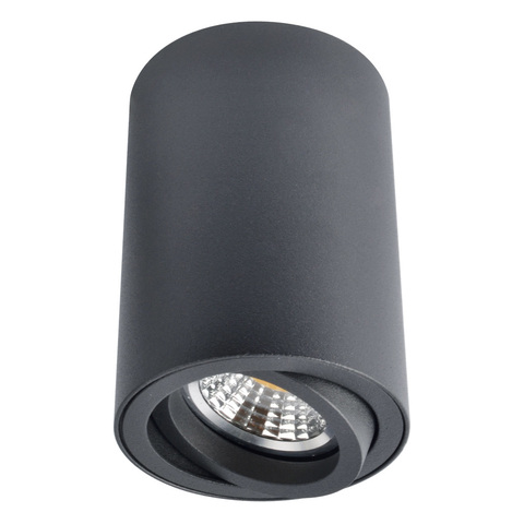 Накладной светильник Arte Lamp SENTRY A1560PL-1BK