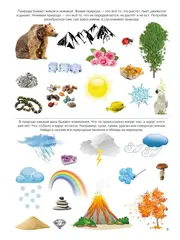 Многоразовая тетрадь Логика и познание 5+ ИД Юлия Фишер