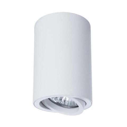 Накладной светильник Arte Lamp SENTRY A1560PL-1WH