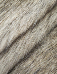 Мех искусственный длинноворсовый, 935 г/м2, ш. 155 см