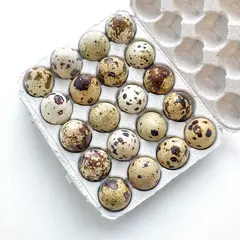 Яйцо перепелиное от счастливых перепёлок "Ферма Евгения Рошаля", 20 шт