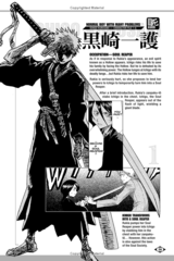 Артбук Bleach SOULs. Official Character Book (На английском Языке) (БАМП)