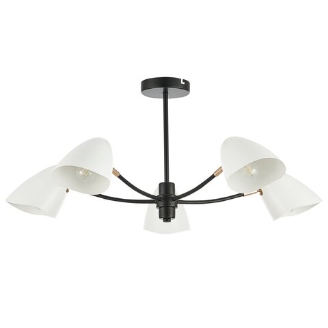 Светильник потолочный Evoluce Satta SLE103602-05