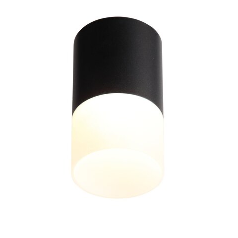Светильник потолочный ST Luce ST100.442.10