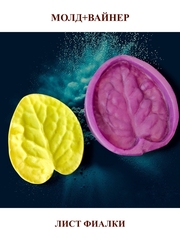 Молд пластиковый+вайнер силиконовый 