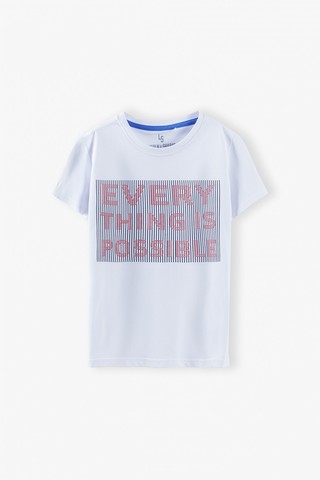 Футболка LINCOLN & SHARKS