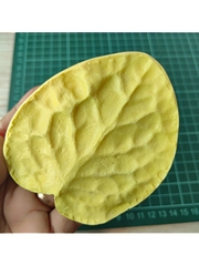 Молд пластиковый+вайнер силиконовый 