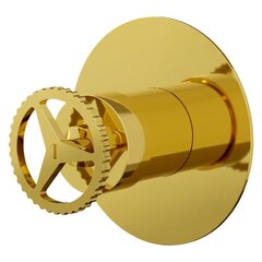 Remer Chrono CH30LDO Смеситель для душа, золото глянцевое фото