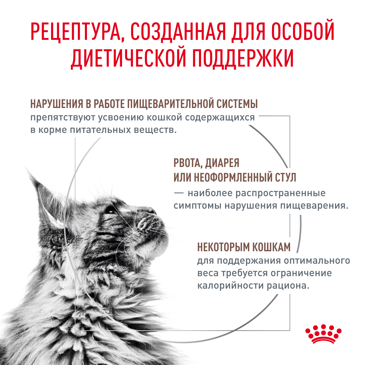 Корм для кошек, Royal Canin GASTROINTESTINAL Moderate Calorie GIM35 Feline,  при панкреатите и нарушениях пищеварения купить с доставкой в  интернет-магазине зоогастроном.ру