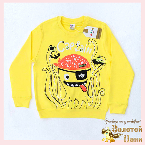 Свитшот хлопок м (1-4) 251031-FU102