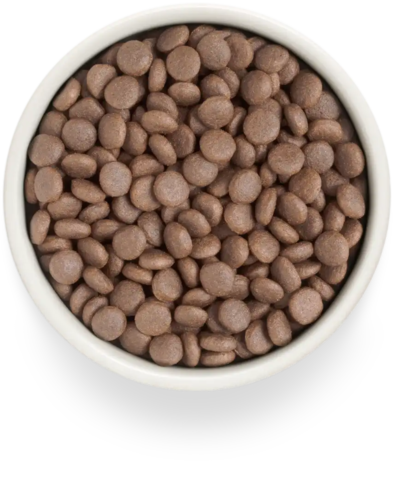 PREMIER Свежее мясо индейки для взрослых собак средних пород