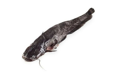 Сом охлажденный СЫРЬЕ~1.5кг