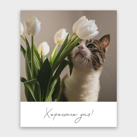 Фото-карточка 