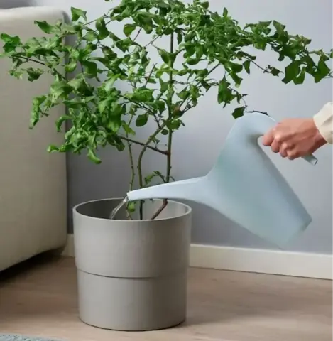 Лейка Blekinge, 1 л, светло-синий, пластик