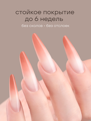 ГЕЛЬ-КРАСКА ДЛЯ НОГТЕЙ OMBRE цвет 23, 2 гр.