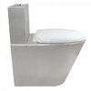 Nofer 13016.B Унитаз антивандальный
