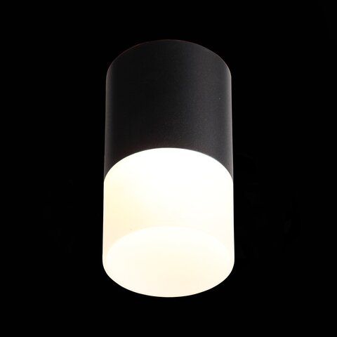 Светильник потолочный ST Luce ST100.442.10